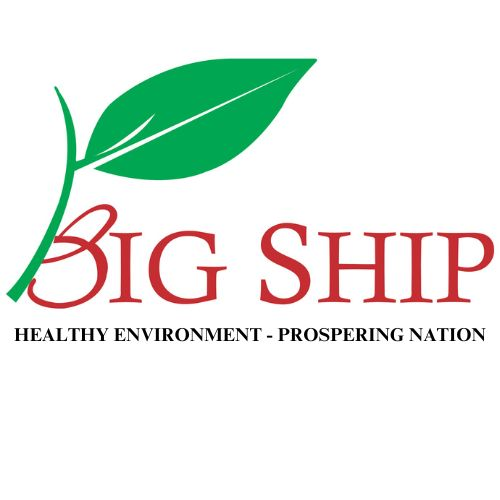 Big Ship logo